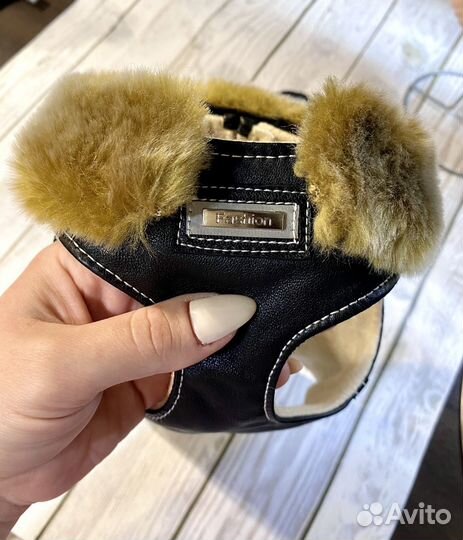 Одежда для собак