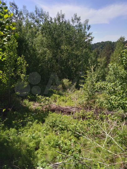 Участок 16 сот. (СНТ, ДНП)