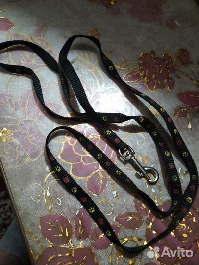 Поводок для маленьких собак