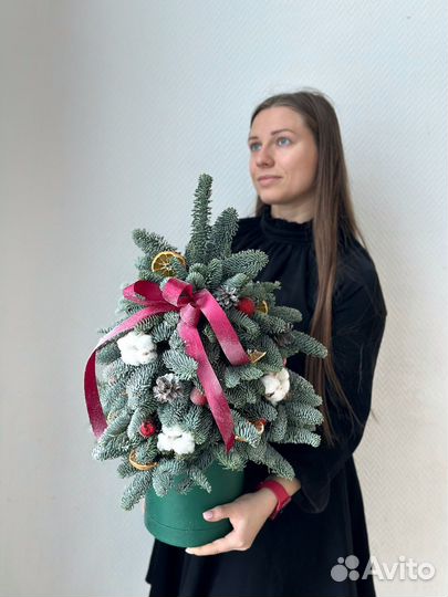 Ёлочка из нобилиса стойкость от 2х месяцев