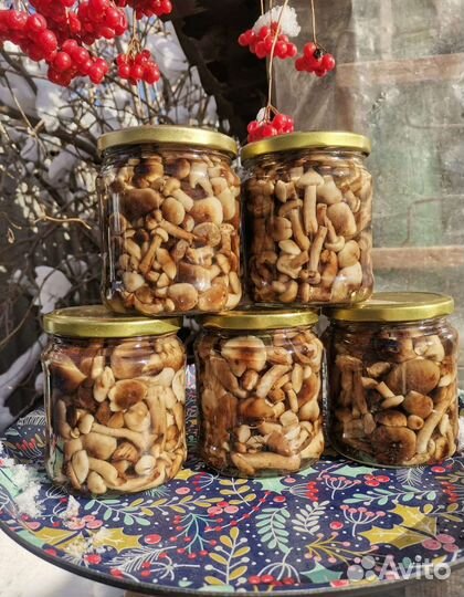 Грибы опята, маслята, рыжики