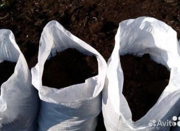 Торф (верх, низ)