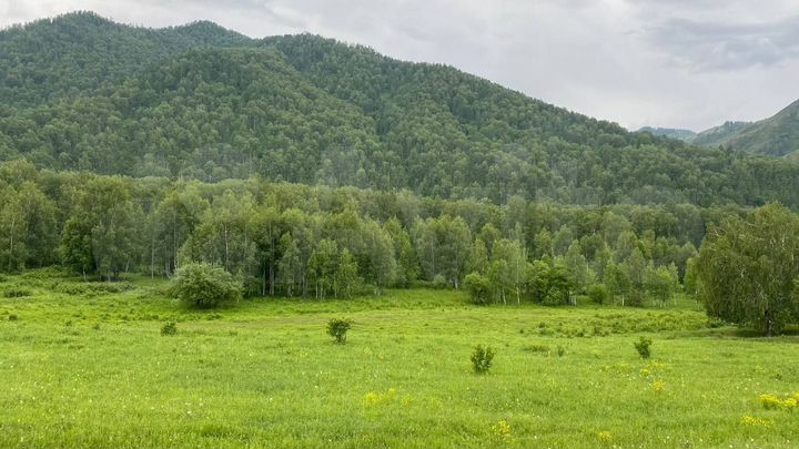 Участок 10 сот. (СНТ, ДНП)