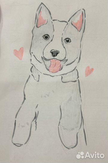 Нарисую вашего питомца за любые деньги