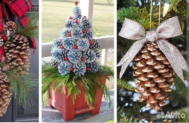 Шишки сосновые