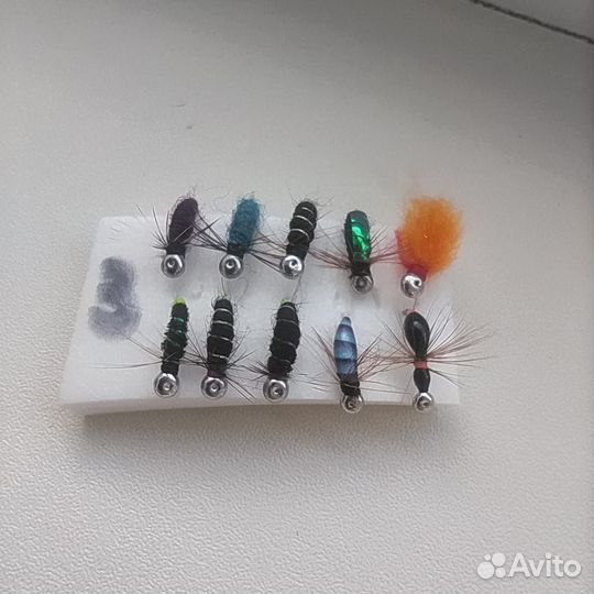 Ловчие мухи