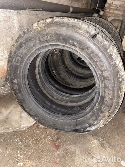 Gislaved Nord Frost 5 195/65 R15