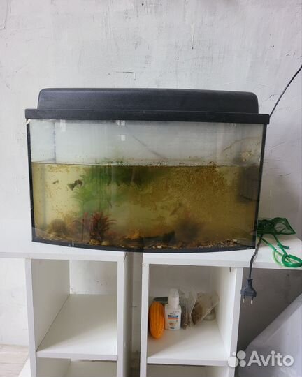 Аквариум