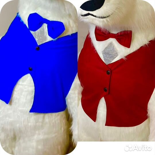 Костюмы для Белого Медведя 2,6,надувного