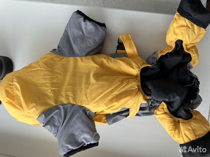 Одежда для собак мелких пород