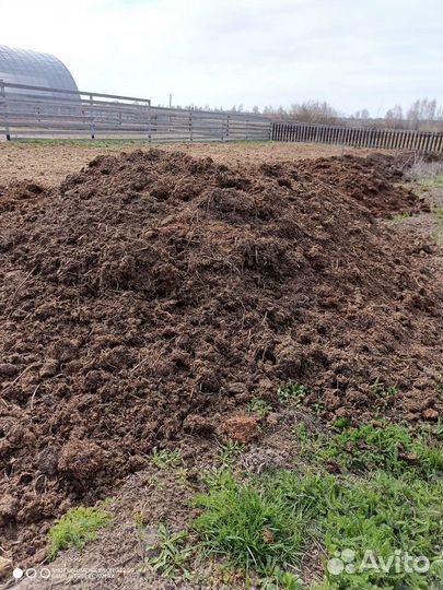 Конский навоз