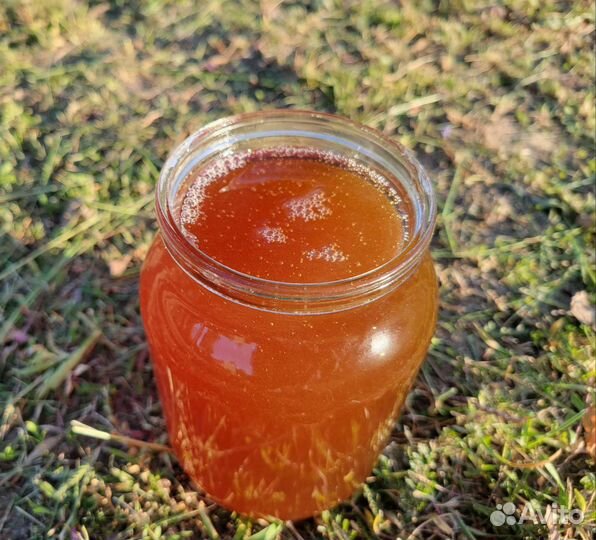 Мёд свежий 2023