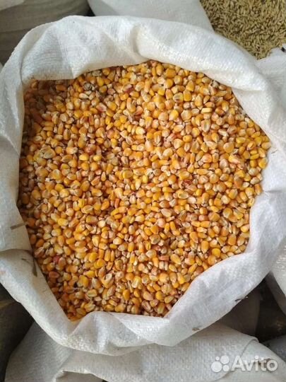 Кoрма для животных