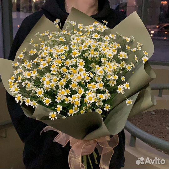 Ромашки. Цветы с Доставкой
