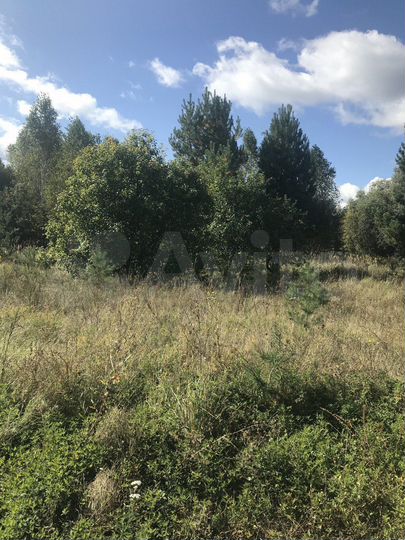 Участок 11 сот. (ИЖС)