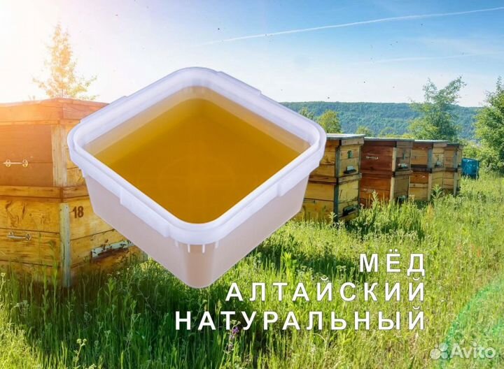 Мед натуральный из Алтая опт