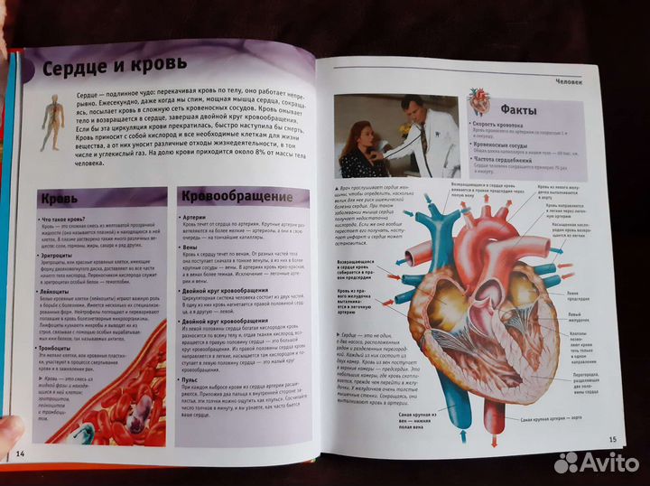 Энциклопедия школьника в отличном состоянии