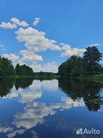 Прогулки на SUP-Board'ах