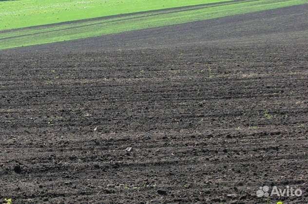 Плодородный грунт, Торф, Чернозём, Земля