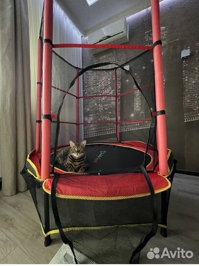 Детский батут с сеткой
