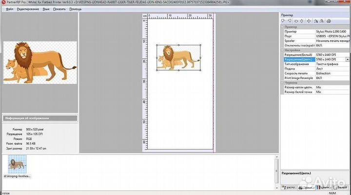 Программа Acrorip 9 с русским языком