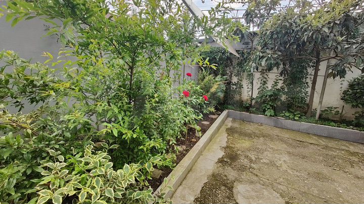 Дом 45 м² на участке 1 сот.