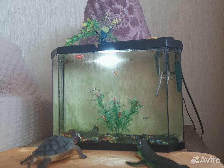 Аквариум с рыбками