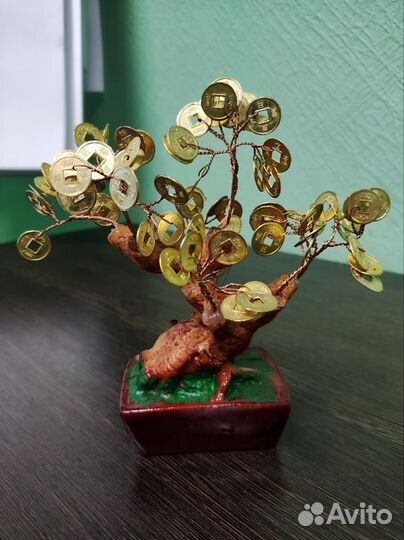 Денежное дерево