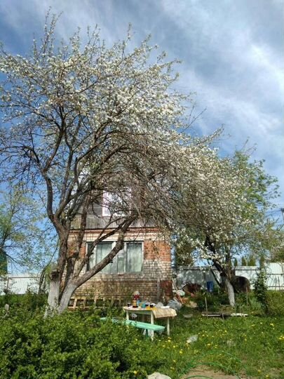 Участок 4,8 сот. (СНТ, ДНП)