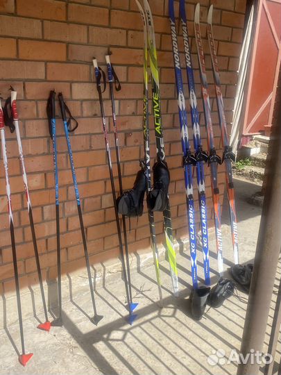 Беговые лыжи