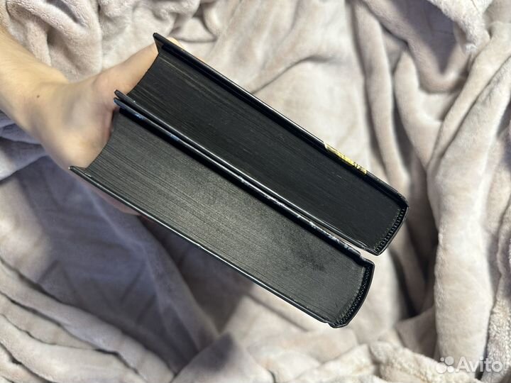 Царство греха, Царство проклятых