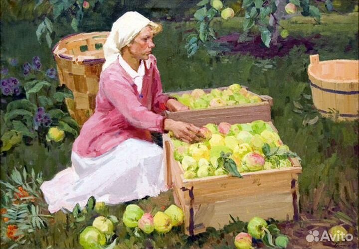 Вахта с проживанием Сборщик яблок