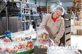 Фасовщик ежедневная оплата