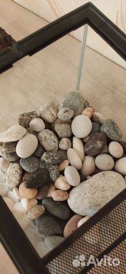 Террариум для рептилий бу