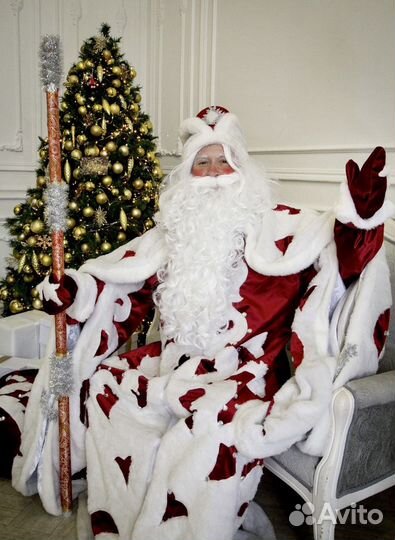 Дед Мороз и Снегурочка на дом в школу, кафе