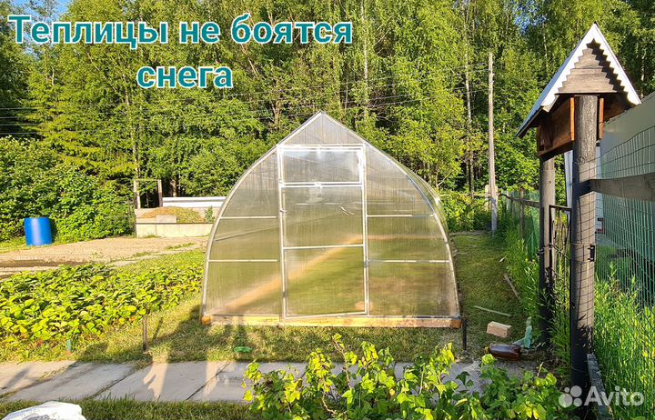 Теплицы 
