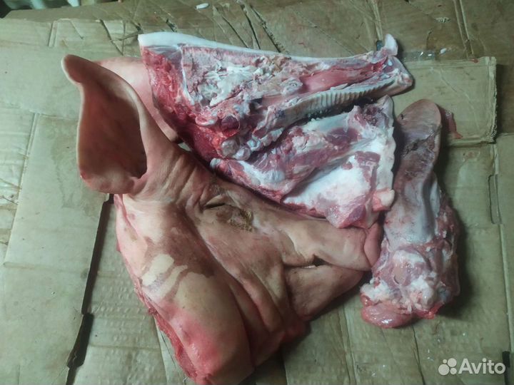 Голова свиная. Свежая. Разруб бесплатно