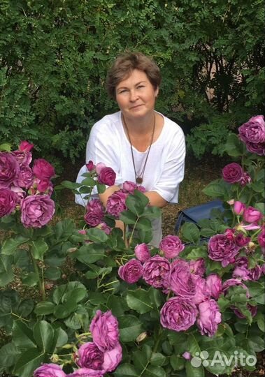 Помощник в архив, библиотека, музей, набор текстов