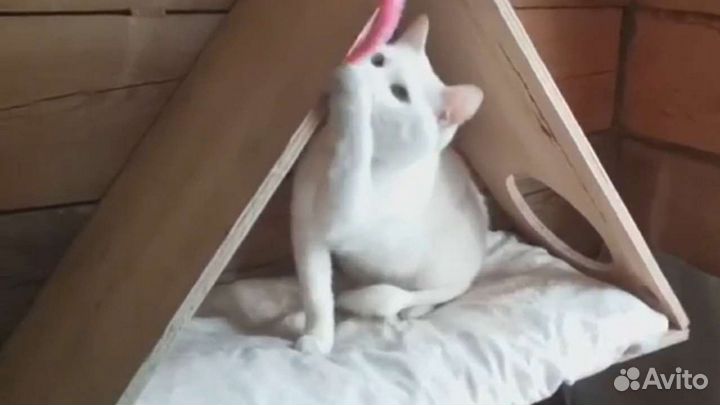 Когтеточка домик