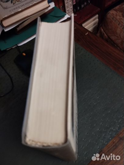 Вл. Айзенштадт. По Фонтанке