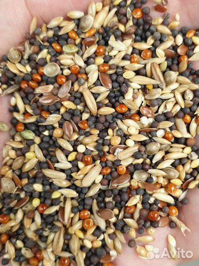 Зерносмесь для канареек