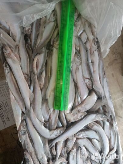 Мойва с/м н/р 12кг