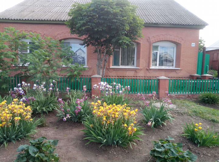 Дом 90,6 м² на участке 22 сот.