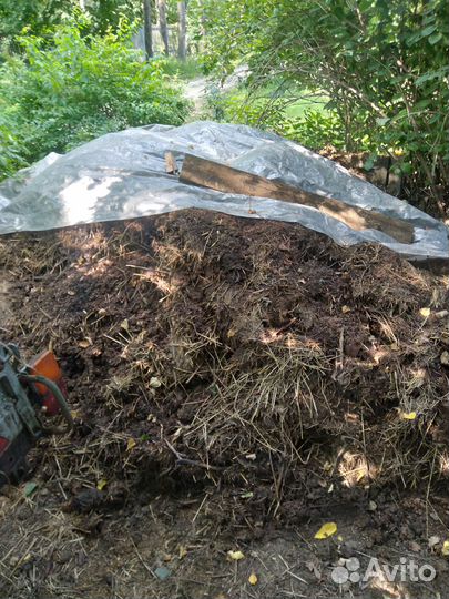 Навоз коровий бесплатно