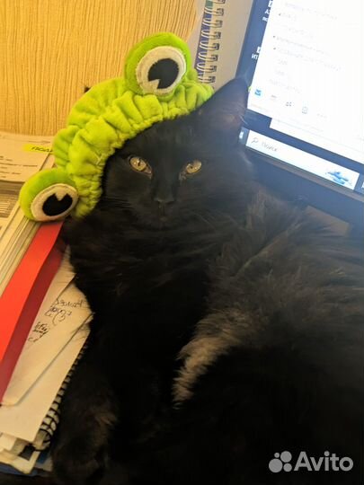 В надежные руки