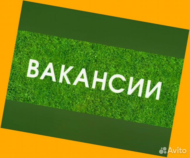Автоэлектрик вахта Выплаты еженед. Жилье /Еда /Хор