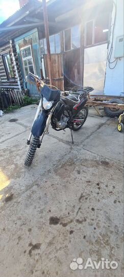 BSE 250