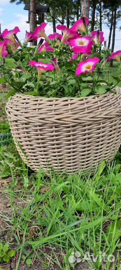 Кашпо из ротанга