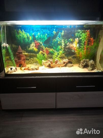 Аквариум