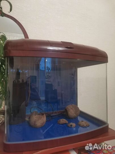 Аквариум 60 л
